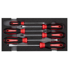 Gedore Red Line, R22150013, 6-stk skrutrekkersett PH+SL 2/6 Ct-modul, 1 sett, SGD-3301712