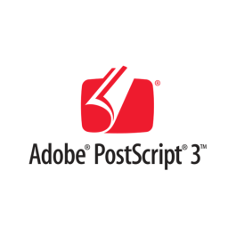 Epson Adobe Postscript 3 Utvidelsesenhet – Økt utskriftskapasitet (EPSC12C891131, 1 Eske)