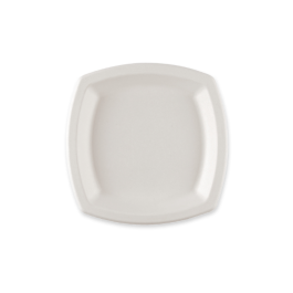 NATUREStar Organiske tallerkener, firkantede | bagasse, 20 x 50 Stykk, SFM-0898P