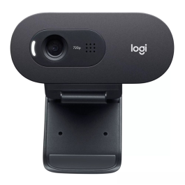 Logitech C505e HD Webkamera – Skarp HD 720p Video (LOG960001372-S, 1 Eske)