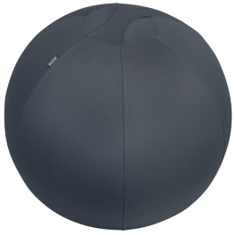 Balanseball Ergo Leitz Cosy, SDC-1233