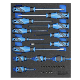 Gedore Blue Line, 2005 CT2-2160, 15-stk skrutrekkersett i CT-modul, 1 sett, SGD-2016311