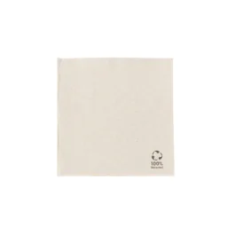 Green Box 2-lags 1/4 brettet 25 x 25 cm Premium papirservietter, naturlig, 3000 stykker, SGB-DSE02821