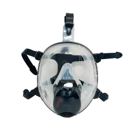 CleanSpace CST, HELMASK, Ansiktsmaske, 1 Stykk, SGP-017