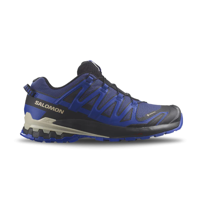 Salomon XA Pro v9 GTX-sko, herre, blå, størrelse 41-47, SBG-1001194