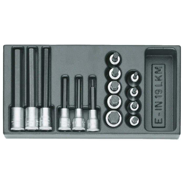 Gedore Blue Line, 1500 ES-IN 19 LKM, skrutrekkerbitssokkelsett 1/2 tomme i 1/3 ES-modul, 1 sett, SGD-1402234