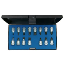 Gedore Blue Line, INS 20 PM, 15-stk skrutrekkerbitsokkelsett 1/4 tomme, IN-IS-PH-PZ, 1 sett, SGD-1815601