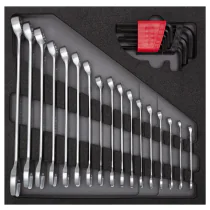 Gedore Red Line, R22250000, 26-stk ringnøkkelsett 4/6 Ct-modul, 1 sett, SGD-3301699