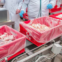 Hygostar Fôrposer for E2-bokser | HDPE, transparent-blå, 500 x 1 Stykk, SFM-32276