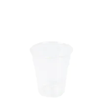 Franz Mensch Kopper for kalde drikker | PLA, gjennomsiktig, 25 x 50 Stykk, SFM-423840