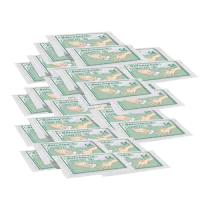 Cederroth Wound Cleanser – Effektiv Sårbehandling (1002361-307, Grønn, 1 Stykk, størrelse-Standard)