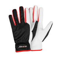 Gloves Pro Dex 2 Arbeidshansker, 12 Par, SGP-5629