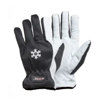 Gloves Pro Dex 11 Arbeidshansker, 12 Par, SGP-5650